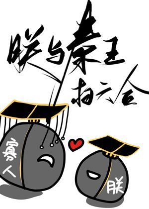 朕与秦王扫六合封面