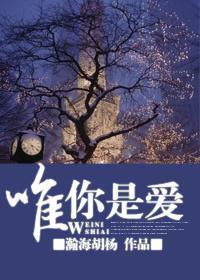 唯你是爱封面