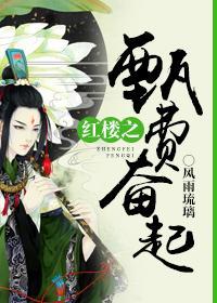 红楼之甄费奋起封面