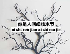 你是人间细枝末节封面