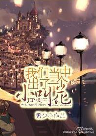 [综]我们当中出了一个小叫花封面