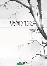 缘何知我意封面