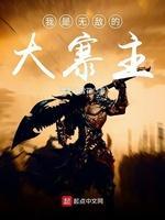 我是无敌的大寨主封面