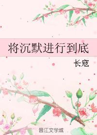 将沈默进行到底封面