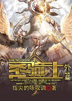 圣骑士外篇封面