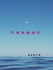 陈情之偷心贼封面