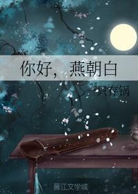 你好，燕朝白封面