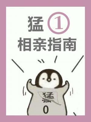 猛一相亲指南封面