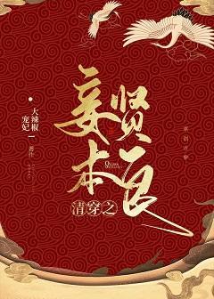 清穿之妾本贤良封面