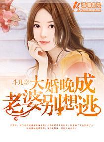 大婚晚成之老婆别想逃封面