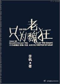 只为老魏狂封面