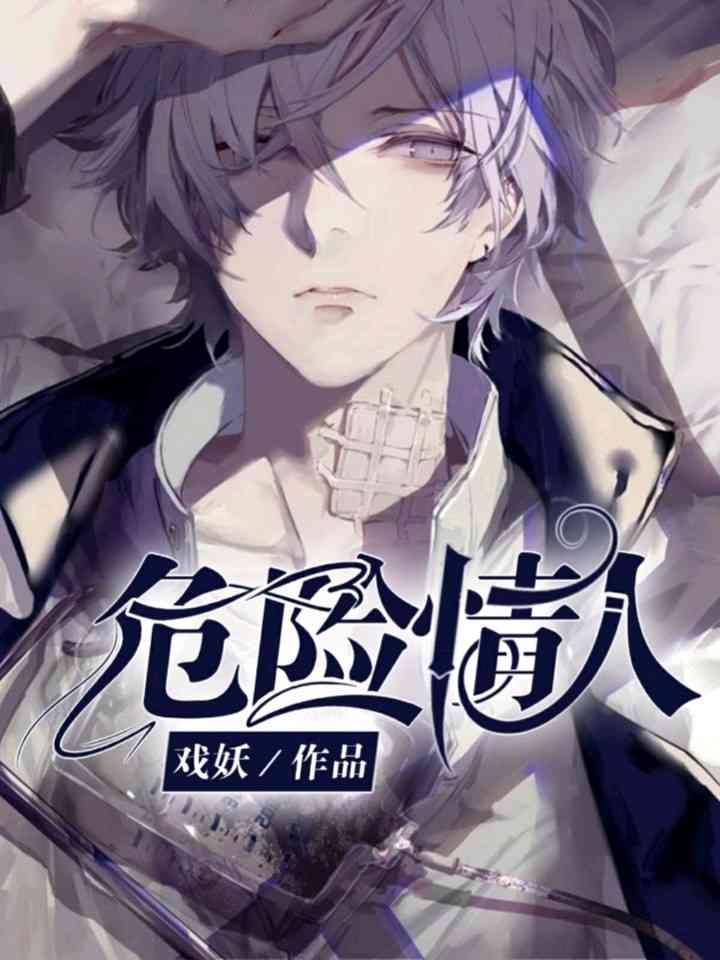 危险情人封面