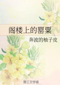 阁楼上的罂粟封面