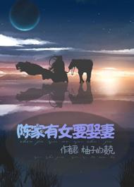 陈家有女要娶妻封面