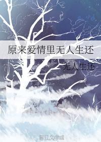 原来爱情里无人生还封面