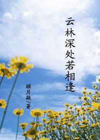 云林深处若相逢封面