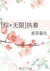 [综+无限]执着封面