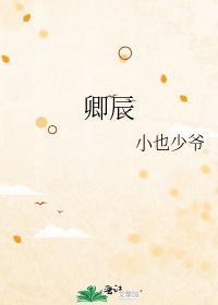 卿辰封面