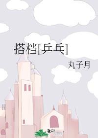 搭档[乒乓]封面