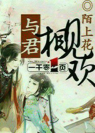 与君相见欢封面