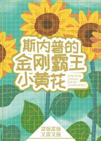 斯内普的金刚霸王小黄花封面