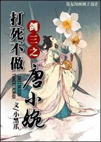 剑三之打死不做唐小婉封面