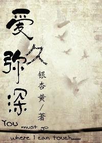 爱久弥深封面