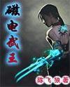 磁电武王封面