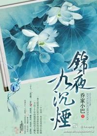 锦夜九沈烟封面