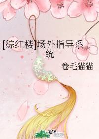 [综红楼]场外指导系统封面