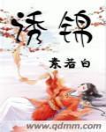 诱锦封面