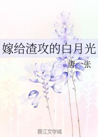 嫁给渣攻的白月光封面