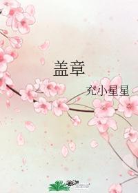 盖章封面
