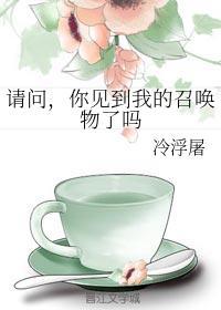 请问，你见到我的召唤物了吗封面