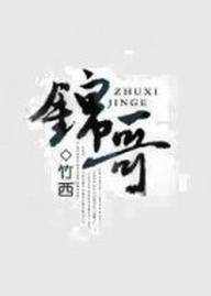 锦哥封面