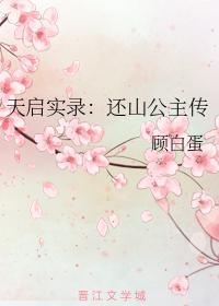 天启实录：还山公主传封面