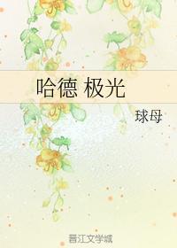 哈德 极光封面