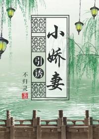 引诱小娇妻（重生）封面