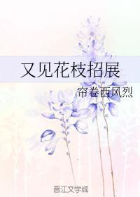 又见花枝招展封面
