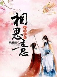 不负此间相思意封面