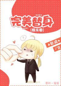 完美替身[娱乐圈]封面
