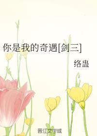 你是我的奇遇[剑三]封面