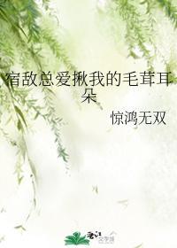 宿敌总爱揪我的毛茸耳朵封面