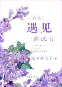 遇见一座冰山（网游）封面