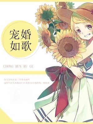 宠婚如歌-宁欢沈时远封面