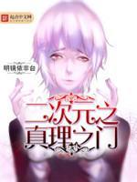 二次元之真理之门封面