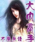 大内高手封面