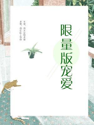 限量版宠爱封面