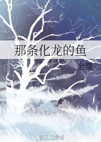 那条化龙的鱼封面