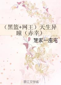 (黑篮+网王)天生异瞳(赤幸)封面